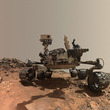Selfie_curiosity