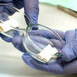 Biomateriales_sq
